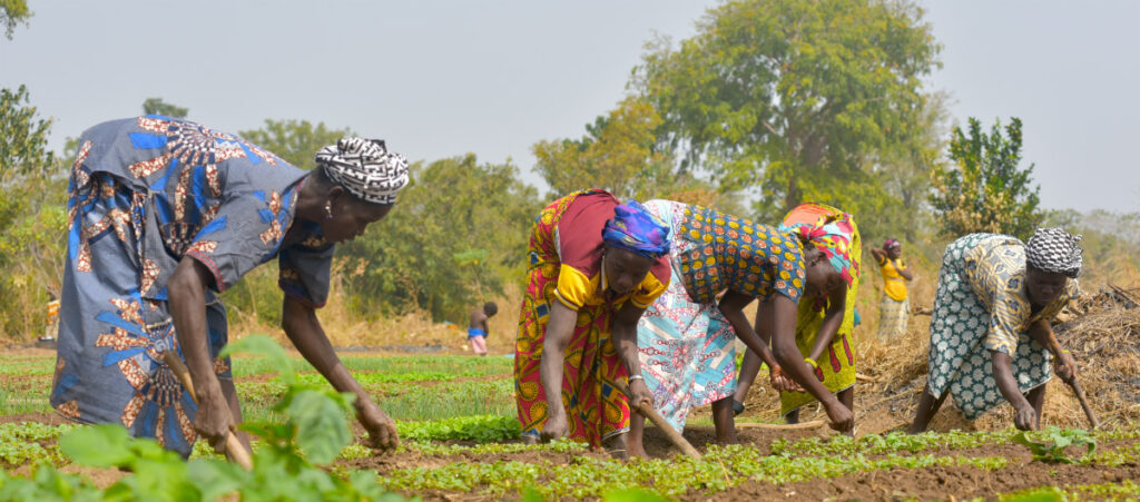 Environnement : le Bas-Sassandra ; le futur joyau de l&rsquo;Agrotourisme