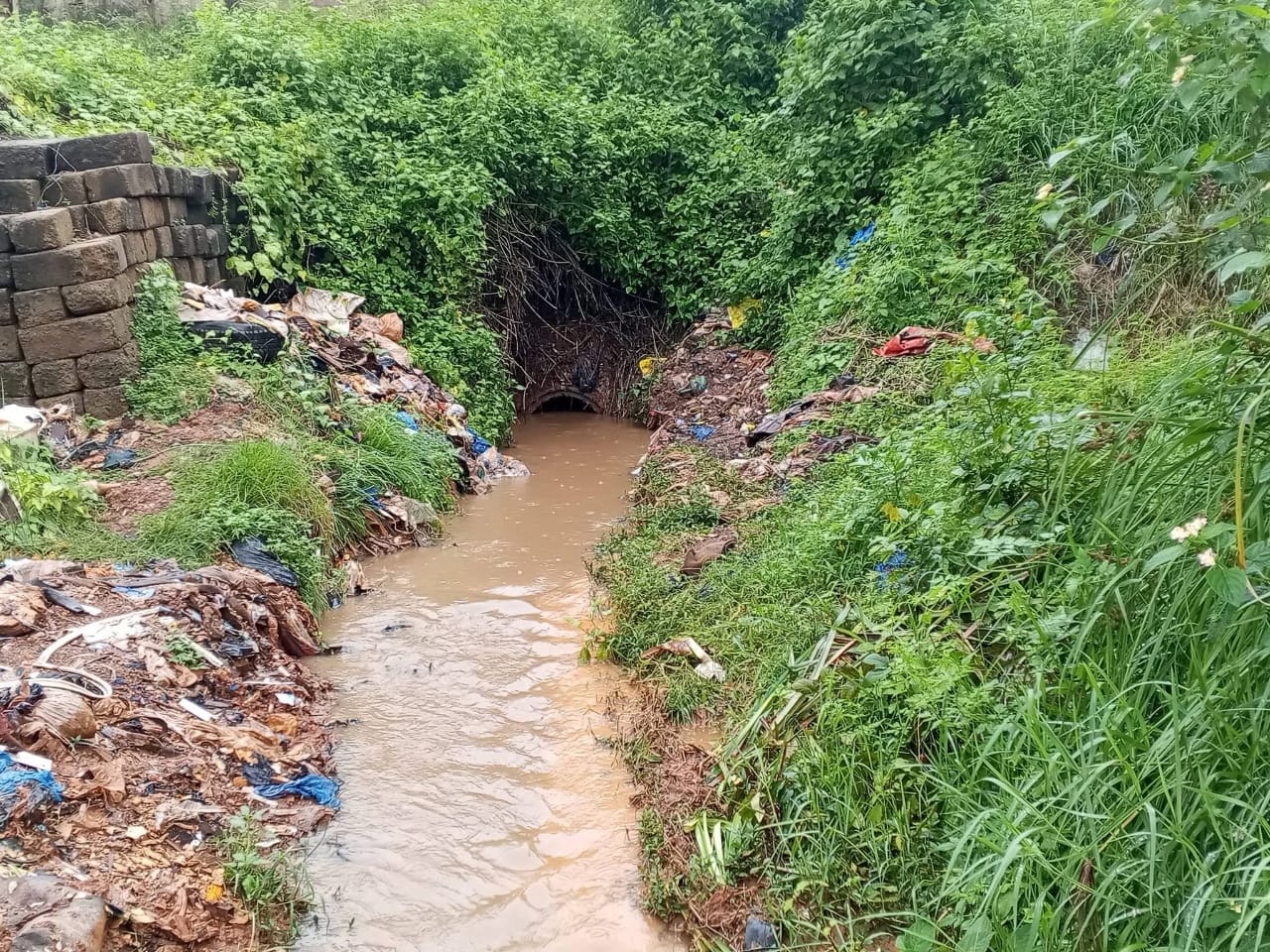 Salubrité en saison des pluies : un enjeu majeur pour la santé et le cadre de vie à San-Pedro