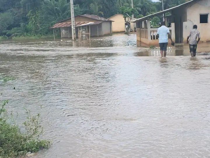 Intempéries dans la sous-préfecture de Dogbo : la Néro en crue isole Boua et Grélé